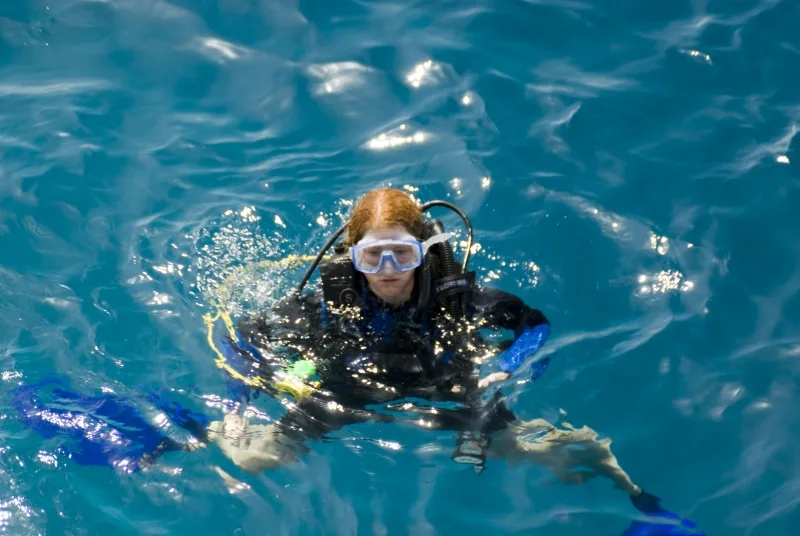 Schnorcheln Utopia Insel ab Safaga